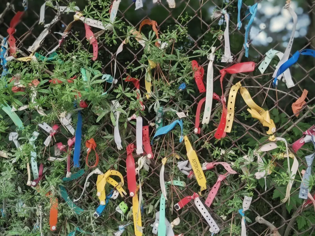 a bunch of colorful objects in a grassy area