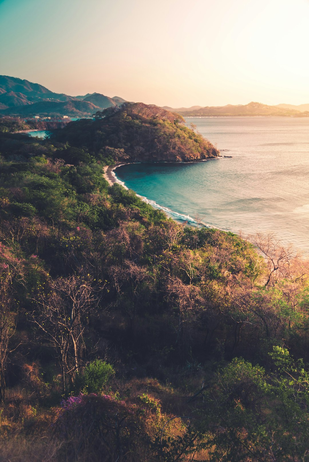 green trees on brown mountain beside blue sea during daytime