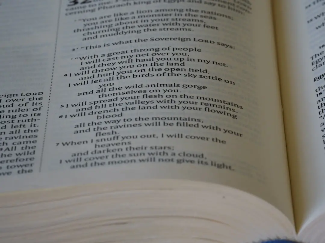 a close up of an open book with text